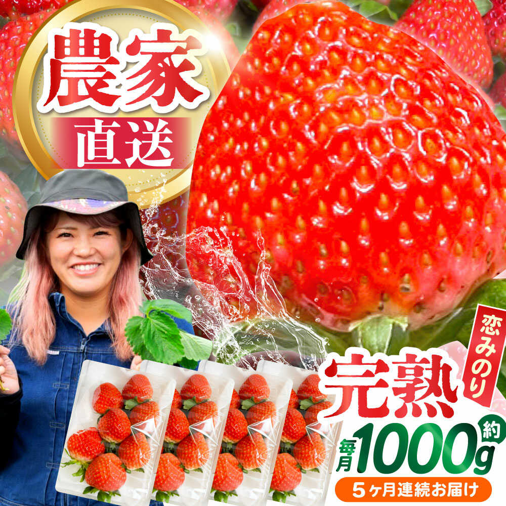 【ふるさと納税】【2027年1月 初回発送】【5回定期便】南島原産 いちご 「恋みのり」約250g×4P / いちご イチゴ いちご イチゴ イチゴ 苺 フルーツ 果物 / 南島原市 / あゆみfarm [SFF004]