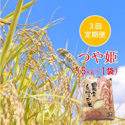 ふるさと納税 小国町 【発送月固定定期便】つや姫 精米 5kg　佐藤全3回