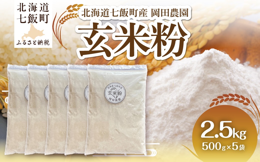 
                  【先行予約】玄米粉500g×5 【 ふるさと納税 人気 おすすめ ランキング 玄米粉 玄米 グルテンフリー ホットケーキミックス パン ケーキ クッキー パンケーキ お菓子作り スイーツ 北海道産 北海道 七飯町 送料無料 】 NAZ025
                