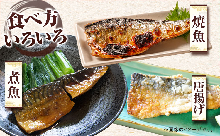 塩さばフィレ(真空パック入)  選べる 8枚入 12枚入 24枚入 魚鶴商店《30日以内に出荷予定(土日祝除く)》 和歌山県 日高町 さば 塩サバ 鯖