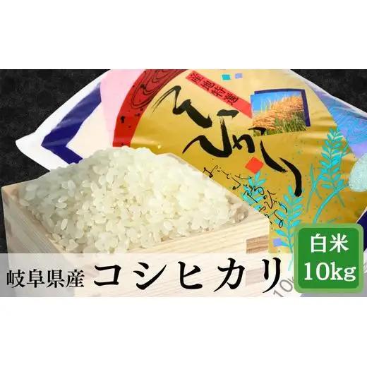 ≪令和7年産≫ 岐阜 コシヒカリ 約10kg