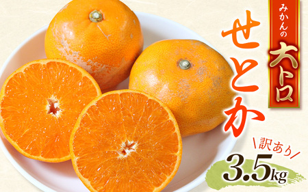 訳あり せとか 3.5kg＋200g(傷み補償分) 大小混合 ご家庭用  【2025年2月下旬～順次発送致】 / みかん せとか 訳ありみかん 訳ありせとか 紀宝町みかん 紀宝町せとか 人気みかん 人気せとか こだわりみかん こだわりせとか みかん せとか 訳ありみかん 訳ありせとか 紀宝町みかん 紀宝町せとか 人気みかん 人気せとか こだわりみかん こだわりせとか みかん せとか 訳ありみかん 訳ありせとか 紀宝町みかん 紀宝町せとか 人気みかん 人気せとか こだわりみかん こだわりせとか みかん せとか