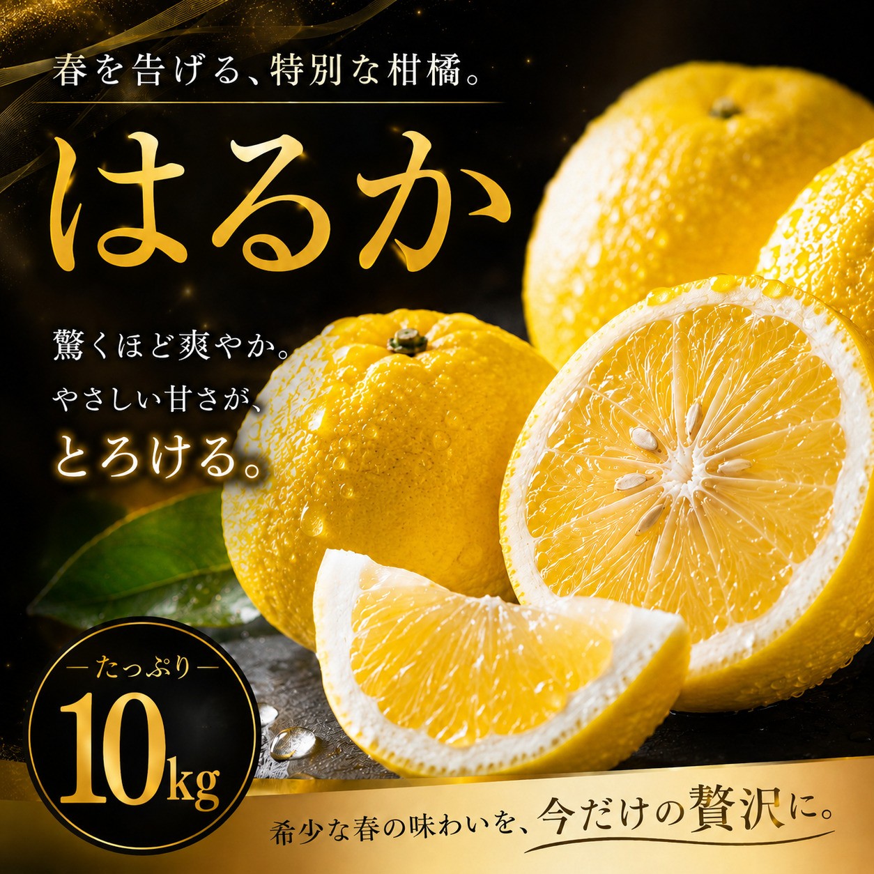 
                  【選ぶならこれ】 酸味ほぼなし 【はるか】 10kg 愛媛県産 【2027年2月上旬頃から順次発送】 | みかん ミカン mikan 蜜柑 訳ありフルーツ 柑橘 果物 おすすめ お勧め お取り寄せ ギフト 愛媛県 松山市
                