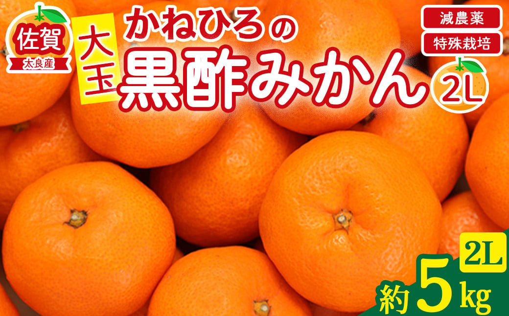 
            かねひろの黒酢みかん（大玉）5kg  2Lサイズ 新鮮 黒酢アミノ酸 みかん 蜜柑 ミカン 柑橘 果実 フルーツ 人気 おすすめ 10kg 佐賀県 太良町 M106
          