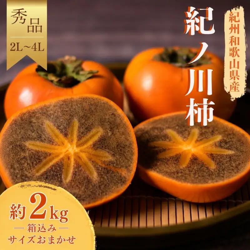 紀ノ川柿  約 2kg 2L~4L(サイズおまかせ) 秀品 / カキ 甘い 美味しい 紀美野町産 ※2026年10月中旬～11月上旬に順次発送【frt504-r-kino-2】
