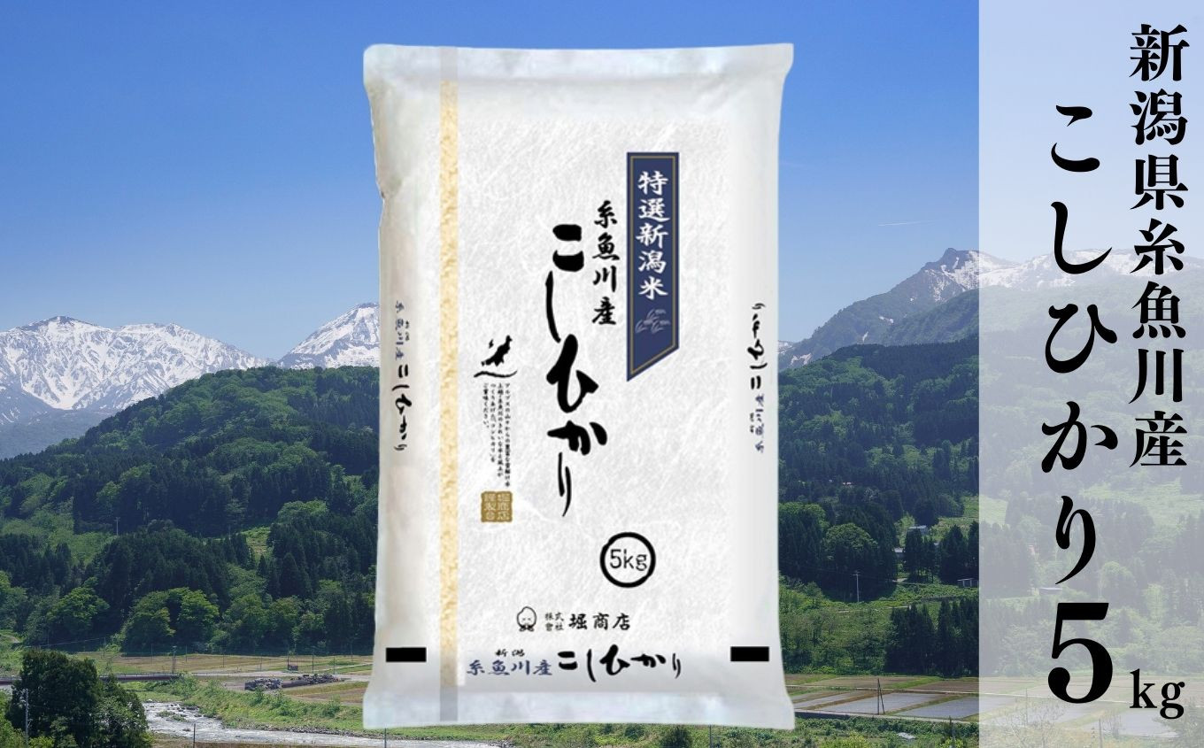 
令和6年産新米予約 新潟県糸魚川産コシヒカリ 5kg 名水と翡翠の郷 2024年産 堀敬商事【米 お米 白米 こめ コメ ご飯 精米 ライス ブランド米 こしひかり 新潟県 糸魚川 2024 米どころ新潟 食品 人気 おすすめ 5キロ】
