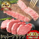 【ふるさと納税】 松阪牛 ヒレステーキ 600g ( シャトーブリアン ) 肉 牛 牛肉 和牛 ブランド牛 高級 国産 霜降り 冷凍 ふるさと納税 ふるさと 人気 ヒレ ヒレ肉 フィレ フィレ肉 ステーキ W1