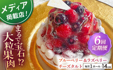 【全6回定期便】 ブルーベリー&amp;ラズベリーチーズタルト1ホール(14cm)【心優　Cotoyu Sweets】[KAA531] ブルーベリータルト 