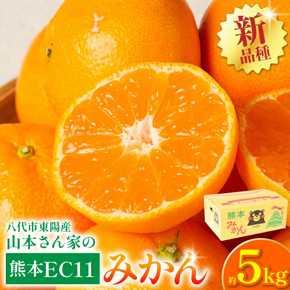 【ふるさと納税】【先行予約】 八代市東陽産山本さん家の「熊本EC11みかん」 約5kg みかん 柑橘 フルーツ 果物 果実 ミカン 蜜柑 熊本県 八代市 送料無料 【2026年11月上旬より順次発送】