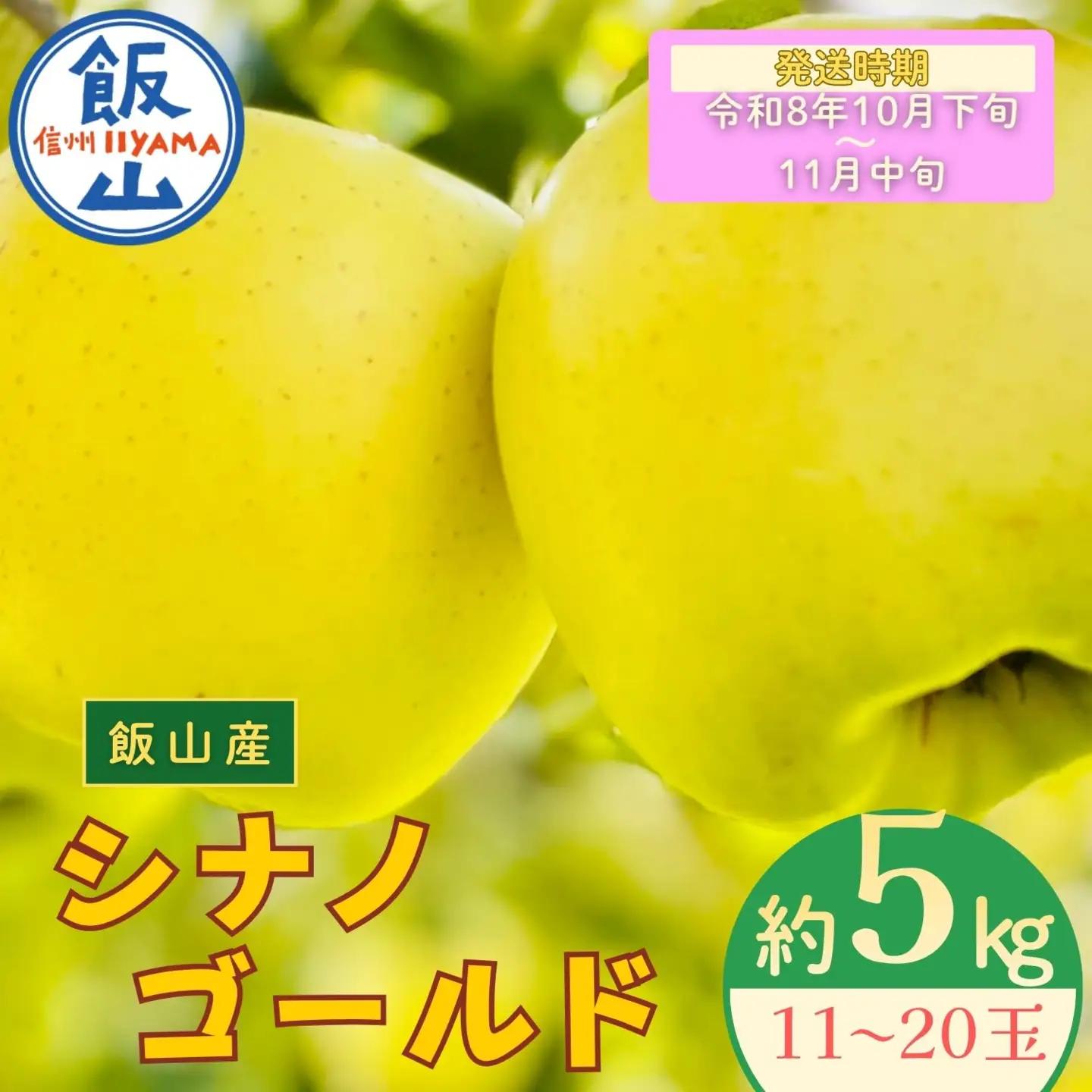 【先行予約丨2026年10月下旬より順次発送】シナノゴールド【約5kg (11〜20玉)】(At-015)丨長野県 飯山市 おすすめ ランキング おいしい 高評価 大人気 先取り 産地直送 りんご