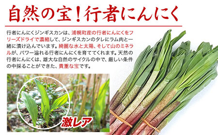 絶品！天然行者にんにく入り！ジンギスカン1000g満腹セット（ラム350g×2＋豚300g）《30日以内に出荷予定(土日祝除く)》北海道 浦幌町 ユーエム ニンニク 行者にんにく 豚 ラム ジンギスカ