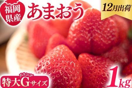 福岡県産 あまおう 1000g （250g×4パック） いちご 12月中発送 いちご 苺 フルーツ 果物 くだもの 大粒Gサイズ グランデ 農家直送 大粒 不揃い 福岡県 福岡 九州 グルメ お取り寄せ