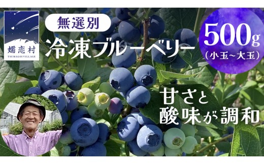 
                  【 最短 7日以内 発送 】 冷凍 ブルーベリー 無選別（ 小玉 ～ 大玉 ） 500g 数量限定 国産 フルーツ スムージー 果物 くだもの 農家直送 スイーツ アイス ノーザンハイブッシュ系 ミックス [AT012tu]
                