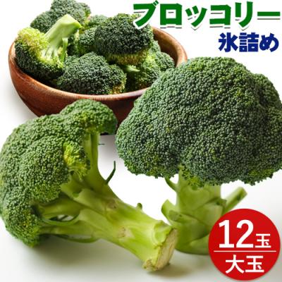 ふるさと納税 当別町 【2026年先行受付】氷詰めブロッコリー縦置き12玉　北海道