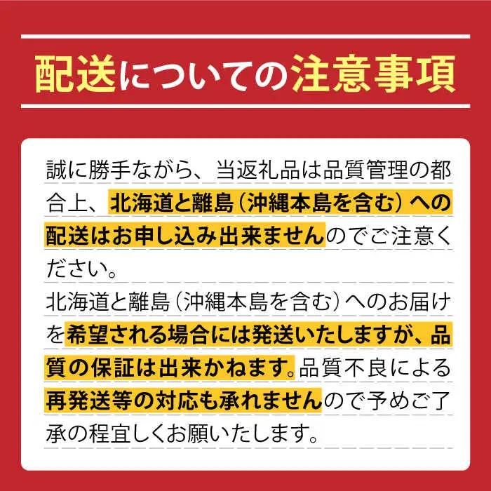 【2026年11月中旬-発送】アールスメロン 2玉 [SCB074] マスクメロン 高級メロン フルーツ 家庭用