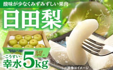梨 先行予約 日田梨 幸水 5kg [ARBB001]