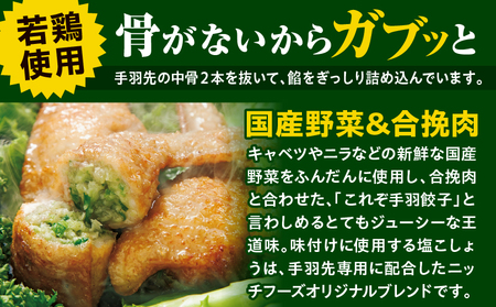 手羽先餃子30本入り 餃子 ぎょうざ 手羽餃子 手羽先餃子 おススメ おかず お惣菜 惣菜 お取り寄せ グルメ 名物 手羽