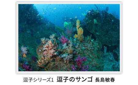 オリジナルプリント長島敏春逗子のサンゴ逗子シリーズオリジナルプリント【フレーム付き】