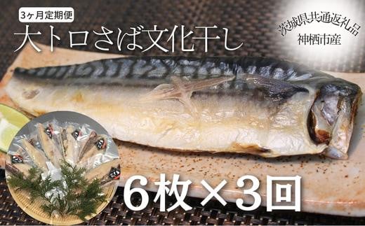 
【3ヶ月定期便】大トロさば文化干し　６枚×3回　（茨城県共通返礼品／神栖市産）
