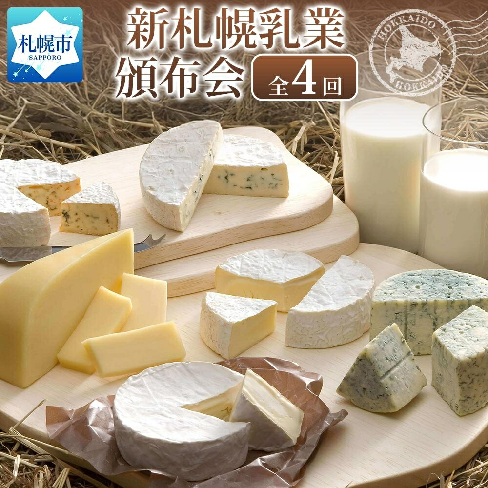 【ふるさと納税】 定期便 4回 チーズ バター ヨーグルト セット 詰め合せ カマンベールチーズ カマンブルーチーズ モッツァレラチーズ のむヨーグルト 新札幌乳業 小林牧場物語 北海道産 生乳 ハスカップ おやつ おつまみ ギフト 贈答 食べ比べ 手づくり 北海道 札幌市