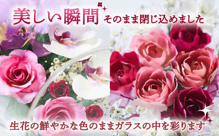 【プレート対応可】ボトルフラワー G-W / 花 ドライフラワー[AFAW013]