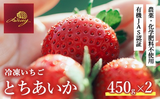 有機JAS認証いちご使用 冷凍いちご  450g×2