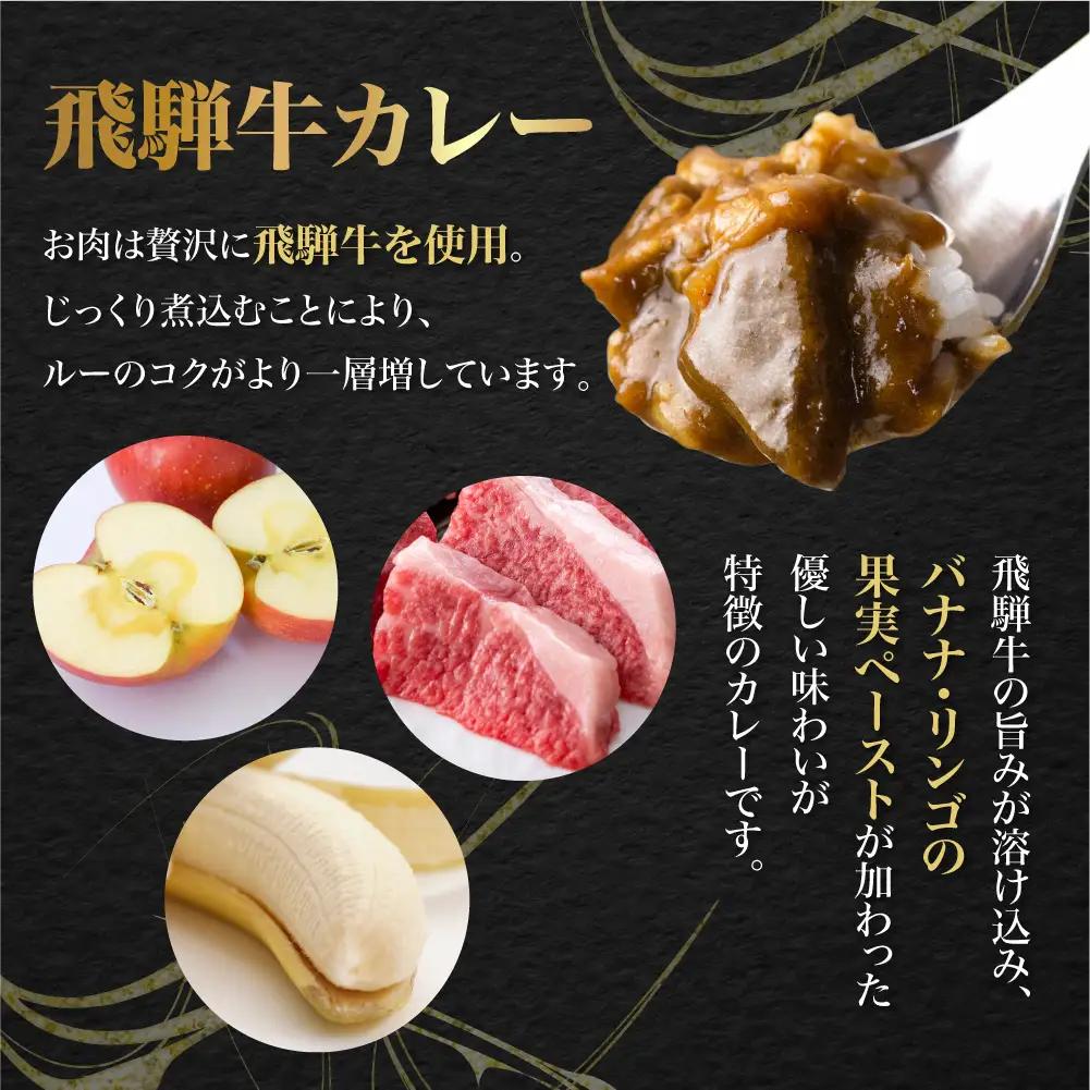 【ふるなび限定】飛騨牛カレー13袋 訳あり |  ビーフ レトルト 訳あり DC006-CP01　FN-Limited-VO