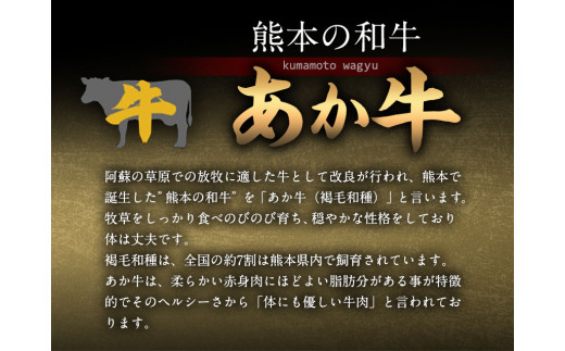 あか牛 赤身焼肉用 1kg (250g×4個) 幸路《60日以内に出荷予定(土日祝除く)》あか牛  赤牛 焼肉 ---so_fhakakay4_60d_r7_33500_1kg---