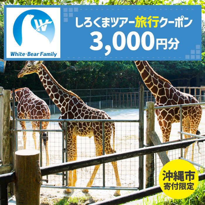 【ふるさと納税】【沖縄市】しろくまツアーで利用可能なWEB旅行クーポン (3千円分) 沖縄旅行 観光 ツアー トラベルクーポン 電子クーポン 3000円分 沖縄市 10000円 / 株式会社ホワイト・ベアーファミリー [BCAV001]