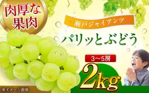【先行予約】【9月上旬より順次発送】「瀬戸ジャイアンツ」ぶどう 2kg（3～5房） 果物 フルーツ ブドウ ぶどう マスカット 愛媛県大洲市/沢井青果有限会社 [AGBN005]