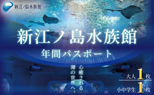 新江ノ島水族館 年間 パスポート 引換券  ( 大人1枚 + 小・中学生1枚 ) チケット 水族館 イルカショー 利用券 引換券 券 体験チケット 体験型 アクティビティ 入場券 前売り券 動物 子ども 家族 旅行 観光 トラベル 関東 江の島 江ノ島 すいぞくかん レジャー プレゼント ギフト 株式会社新江ノ島水族館 神奈川 湘南 藤沢