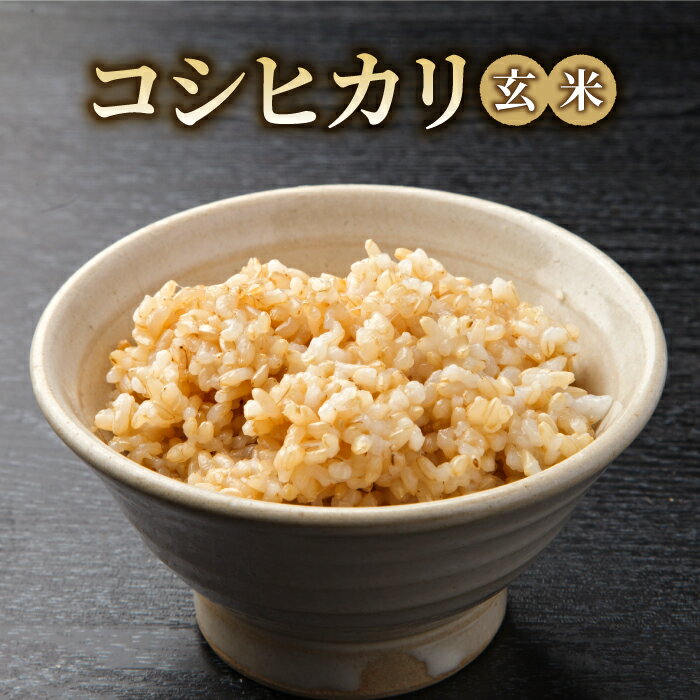 【ふるさと納税】令和7年産 新米！有機肥料使用のコシヒカリ 玄米 一等米｜長野県東御市