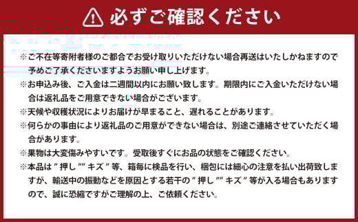冬桃がたり 6～9玉（合計約1.2kg） 化粧箱入り 【2026年11月下旬～12月下旬迄発送予定】 モモ もも 桃 フルーツ 果物 ギフト 国産 岡山県産