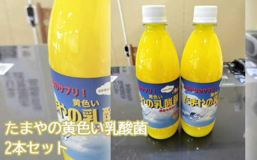 たまやの黄色い乳酸菌　500ml　2本セット ／ 液体エサ 冬用 ビタミンB群 淡水魚 エサ 冬用 乳酸菌 ビタミンB群 液体エサ 東京都 No.100