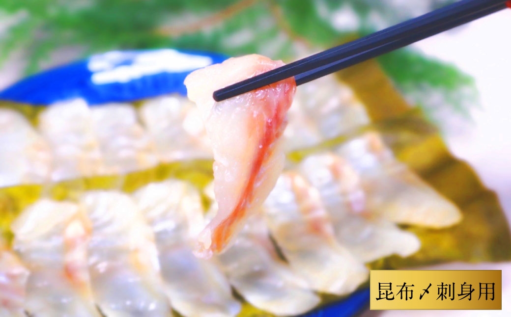 長崎の森で育てた『幻のクエ』 【セット】刺身用5～6人前、昆布〆 刺身用 5～6人前(1kg～2kg前後×2)