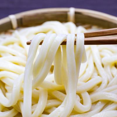 ふるさと納税 東かがわ市 讃岐半生うどん「祭」8人前 |  | 03