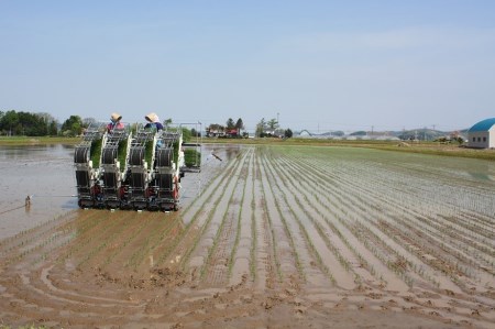 【無洗米12ヶ月定期便】特別栽培米ゆきひかり2kg×3袋