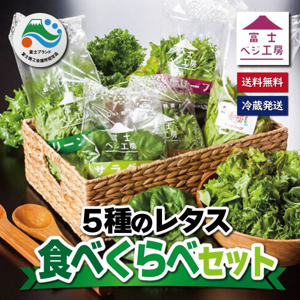
                  レタス 5種類×2株セット 【富士山の伏流水で農薬を使わず育てた新鮮レタス】安心 安全 農薬不使用 富士市 野菜(1517)
                