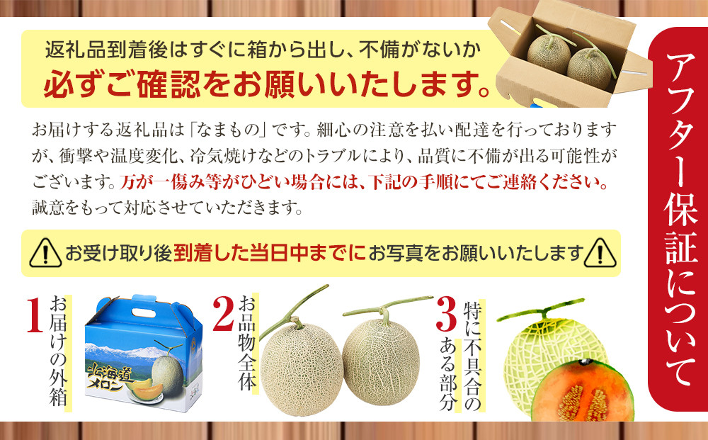 【26年発送先行予約】北海道産赤肉メロン約1.3kg×2玉 (2026年7月中旬から発送開始予定) 【 果物 くだもの フルーツ メロン 赤肉 赤肉メロン 旬 お取り寄せ 甘い 北海道産 旭川市 北海