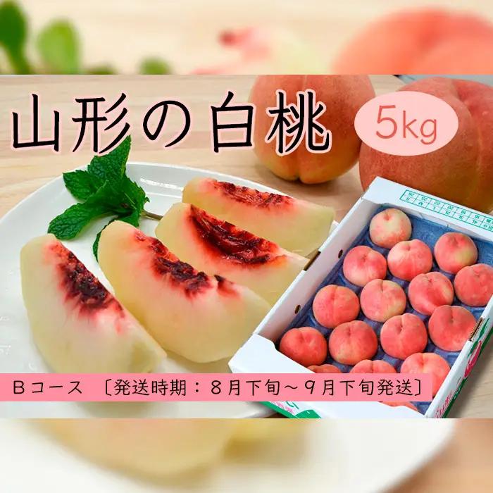 山形の白桃 5kg(10~16玉)Bコース(柔らかくなる品種・果肉やや硬め)【令和8年産先行予約】FS24-566 くだもの 果物 フルーツ 山形 山形県 山形市 2026年産