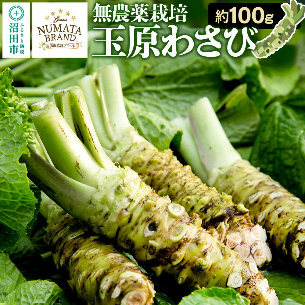 【ふるさと納税】ぬまたブランド農産物 玉原わさび 生ワサビ 約100g [生わさび 生ワサビ 生山葵 本わさび 本ワサビ 本山葵]