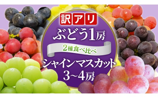 ＼訳あり ご家庭用／シャインマスカット (3～4房) ＆ 種なし 大粒ぶどう (1房) 合計 4～5房入 ブドウ 葡萄 フルーツ 果物 旬 わけあり 先行予約 食べ比べ(DM006)