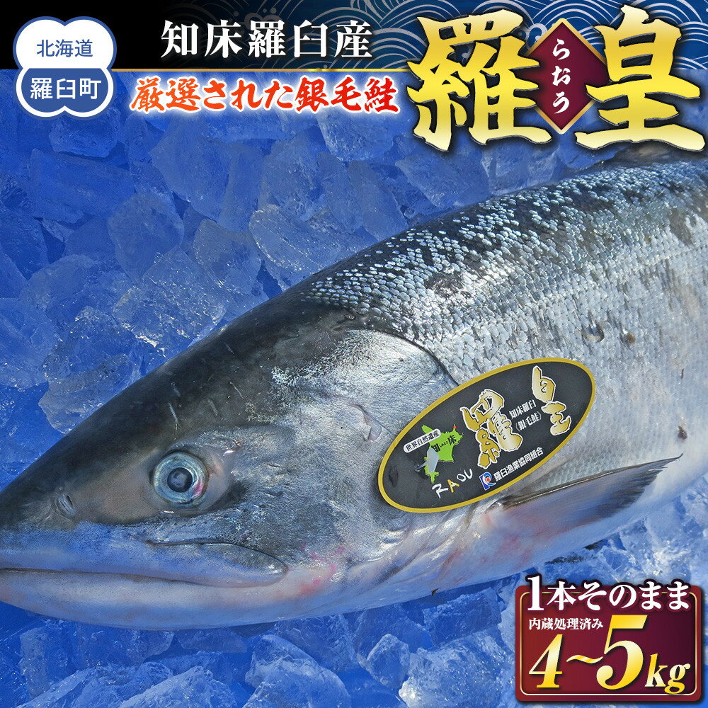 【ふるさと納税】知床羅臼産 鮭 羅皇（らおう） 1本そのまま　カットなし（内臓処理済） 4～5kg 生産者 支援 応援