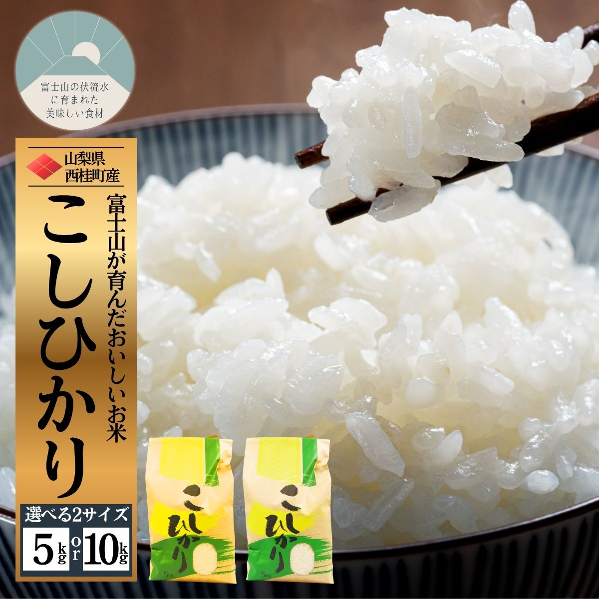 【ふるさと納税】コシヒカリ 選べる容量 / 国産 こしひかり 5キロ 10キロ 令和7年 新米 米 お米 保存袋 生活必需品 ギフト 贈り物 お歳暮 ふるさと納税 送料無料[n0663_nsk]