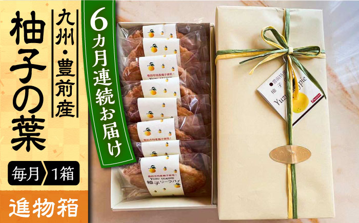 
            【全6回定期便】【進物箱】柚子の葉 8枚入り《豊前市》【武蔵屋】お中元 ギフト 贈り物 和菓子 [VBU018]
          