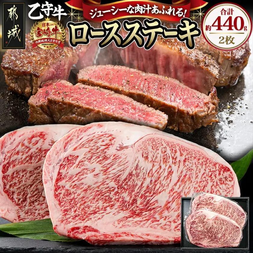 数量限定！【宮崎牛A5】ロースステーキ 計約440g(2枚) (乙守牛)〔26-6501〕_(都城市) 都城産宮崎牛 乙守牛 A5 リブロースもしくはサーロイン 2枚 約440g 真空パック ギフト 