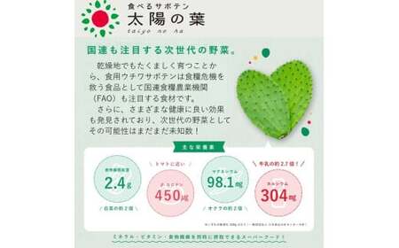 【期間限定】食べるサボテン 太陽の葉 フレッシュリーフ(新芽限定・お試し500g)