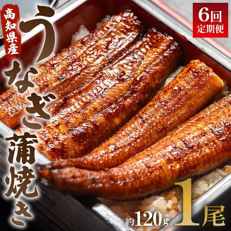 【定期便】うなぎ蒲焼き | うなぎ 定期便 国産 うなぎ 定期便 うなぎ 定期便 Wun-0021