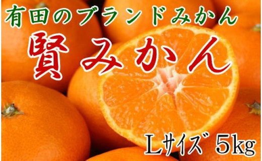 [秀品]有田のブランド「賢みかん」5kg(Lサイズ) 【2025年11月中旬頃より順次発送】 BZ009