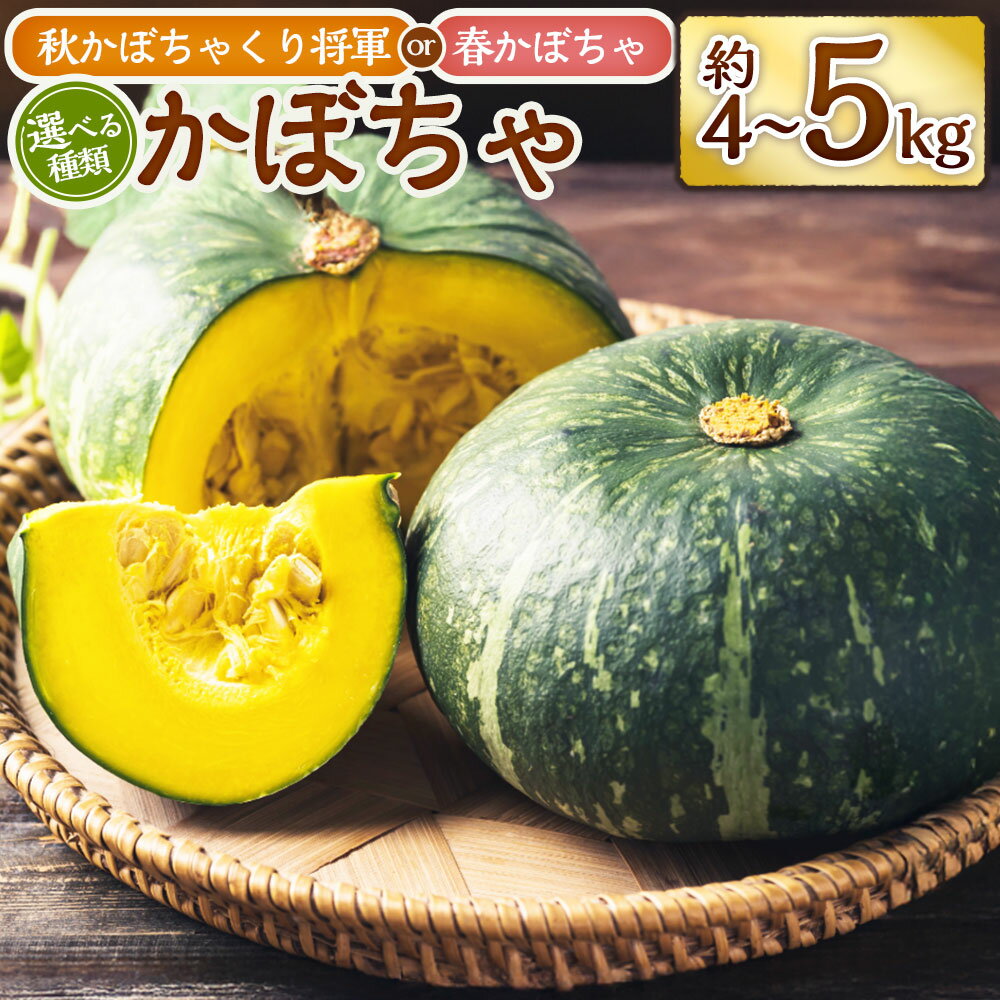 【ふるさと納税】＜選べる品種＞【先行受付】山梨県 中央市産 かぼちゃ くり将軍 / 春かぼちゃ 約4～5kg カボチャ 南瓜 栗将軍 野菜 やさい 煮物 スイーツ お味噌汁 ほうとう サラダ コロッケ 山梨県産 国産 山梨県 中央市 送料無料 【2026年6月上旬〜11月下旬発送予定】